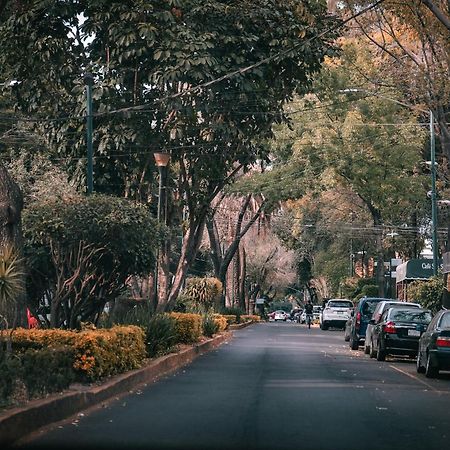 Modern Studio, Rooftop Charm, Cdmx Center2 مدينة مكسيكو المظهر الخارجي الصورة