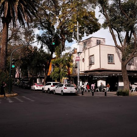 Modern Studio, Rooftop Charm, Cdmx Center2 مدينة مكسيكو المظهر الخارجي الصورة