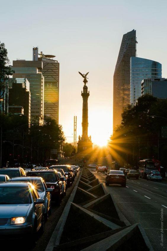 Modern Studio, Rooftop Charm, Cdmx Center2 مدينة مكسيكو المظهر الخارجي الصورة
