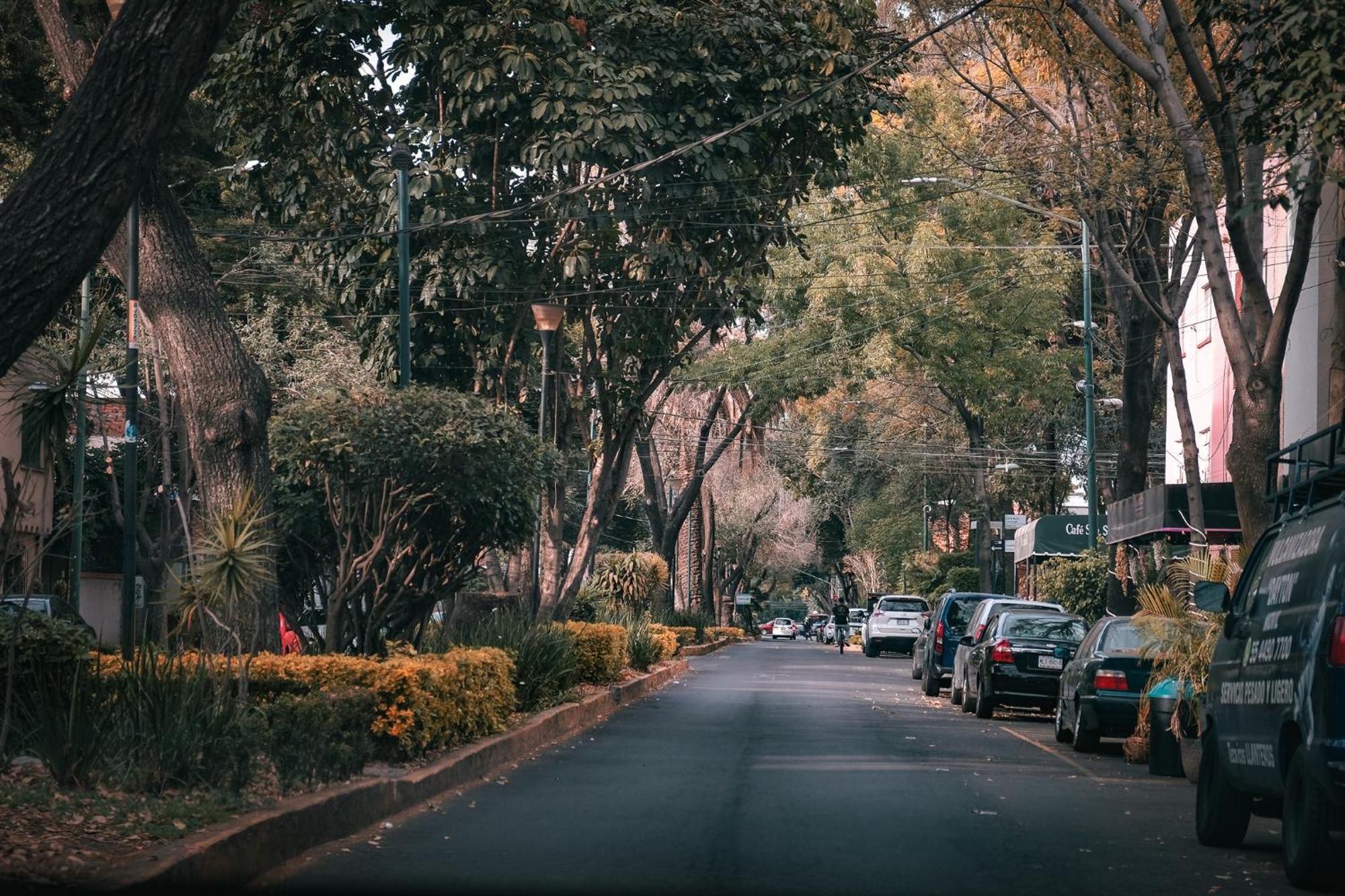 Modern Studio, Rooftop Charm, Cdmx Center2 مدينة مكسيكو المظهر الخارجي الصورة