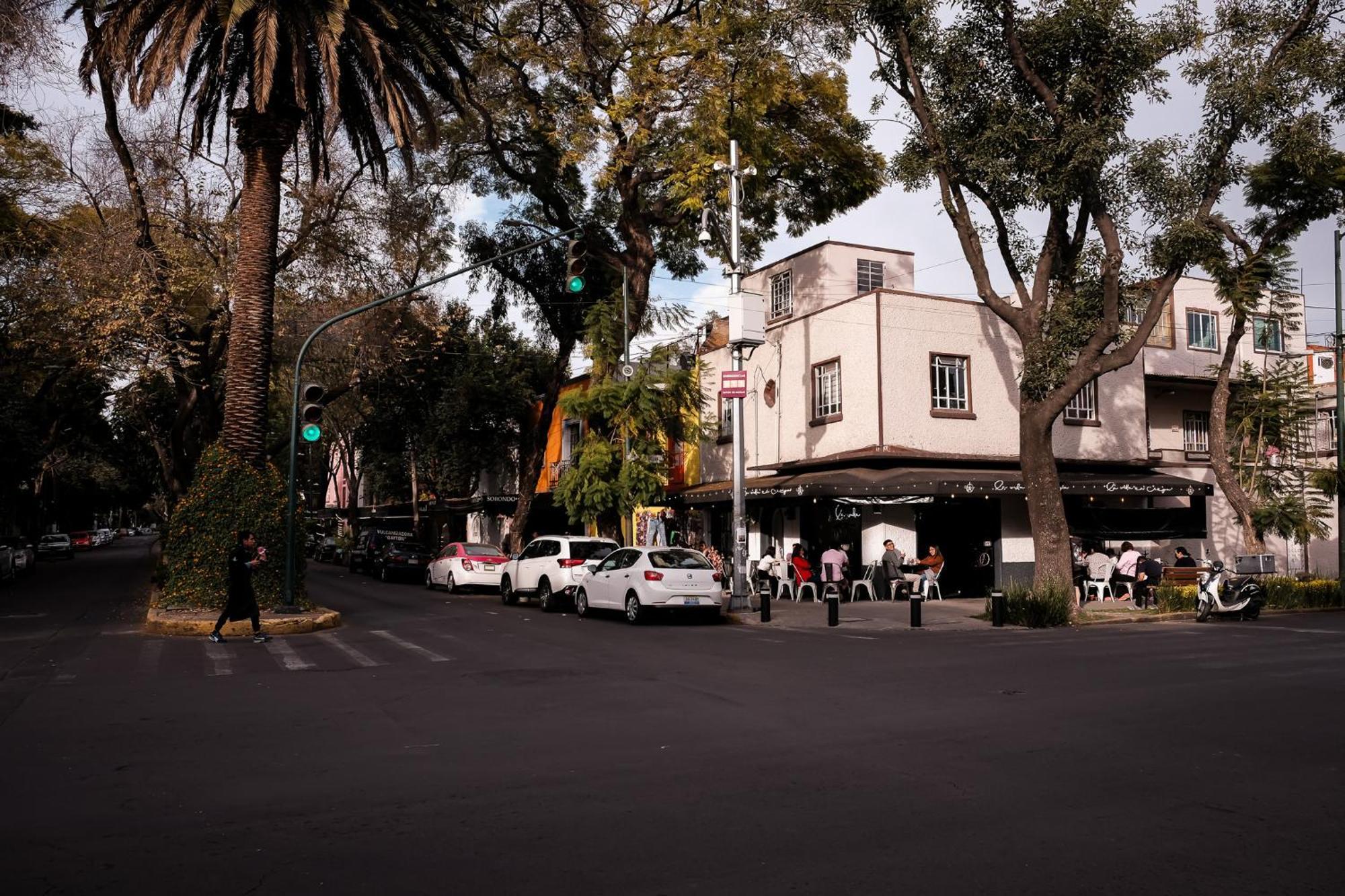 Modern Studio, Rooftop Charm, Cdmx Center2 مدينة مكسيكو المظهر الخارجي الصورة