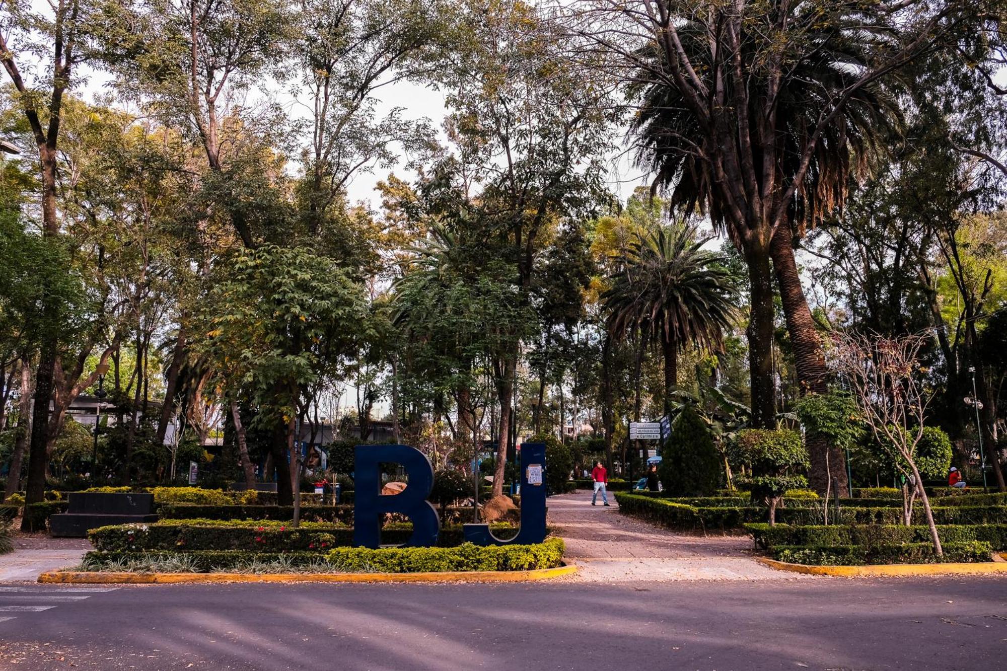 Modern Studio, Rooftop Charm, Cdmx Center2 مدينة مكسيكو المظهر الخارجي الصورة