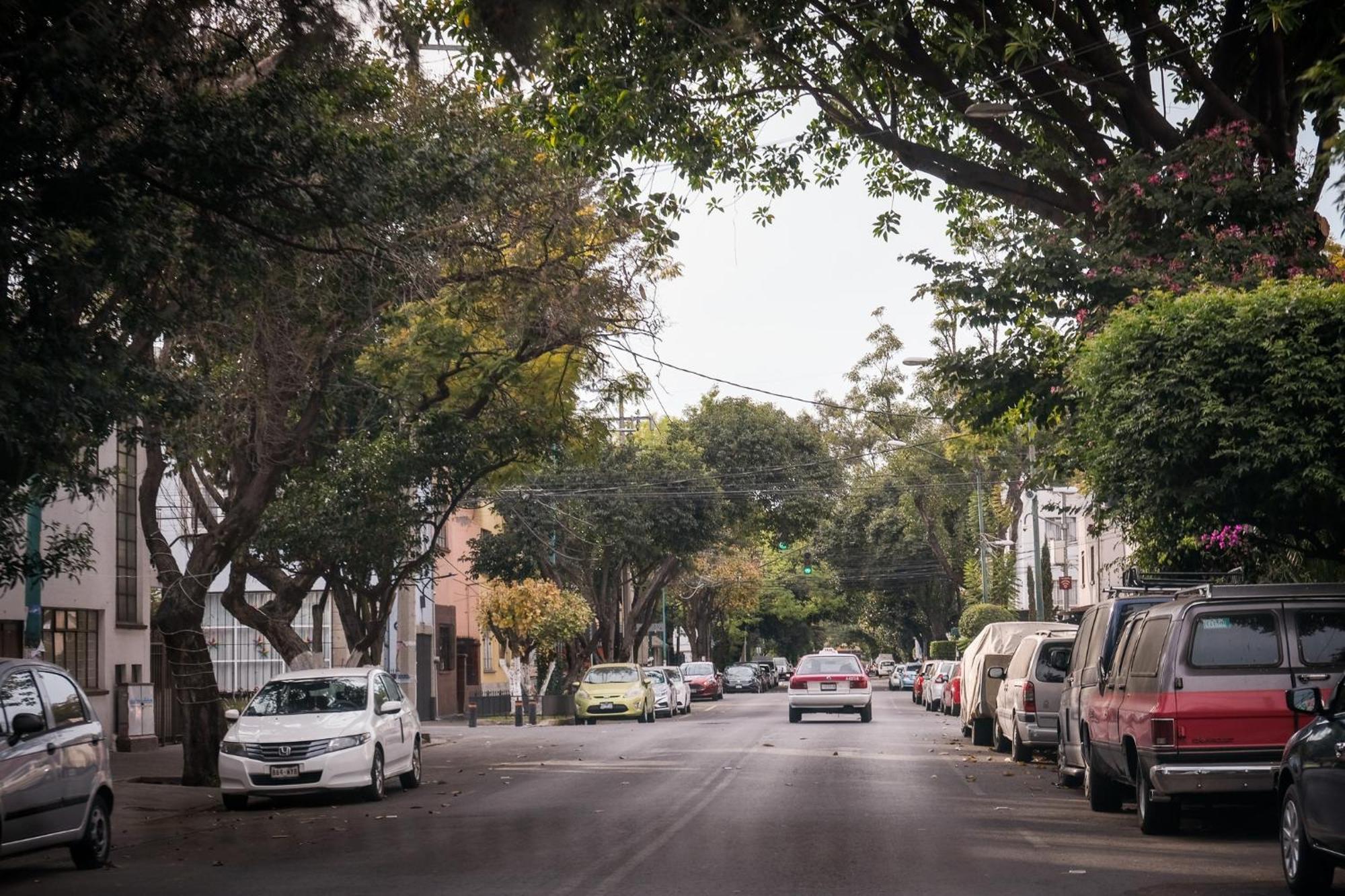 Modern Studio, Rooftop Charm, Cdmx Center2 مدينة مكسيكو المظهر الخارجي الصورة