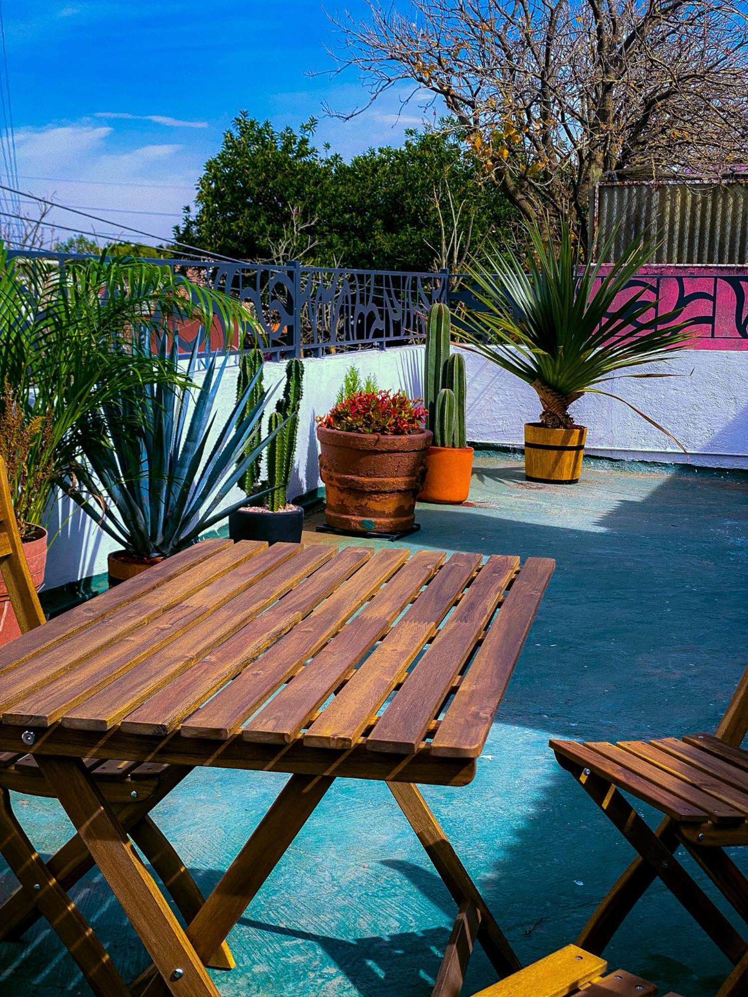 Modern Studio, Rooftop Charm, Cdmx Center2 مدينة مكسيكو المظهر الخارجي الصورة